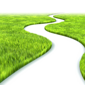 Life - coaching